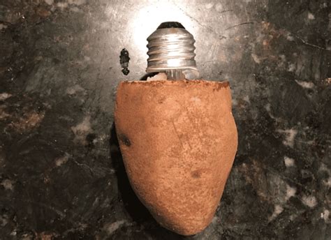 Image result for Home Repair Tips