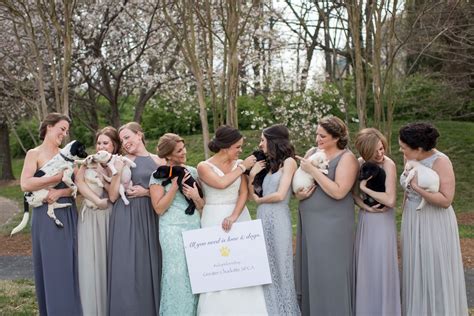 Animal Bride 的图像结果