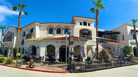 RD RNNR Libations Pints & Plates – DogTrekker