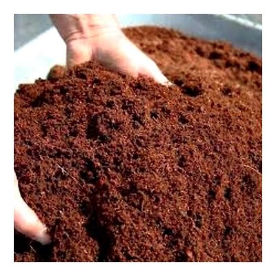 Coconut Peat - | Indian Business Portal