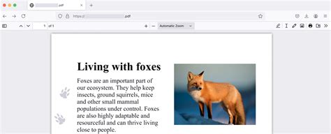 Image result for How to View PDF Files