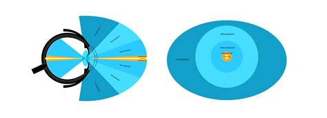 Image result for Peripheral Vision