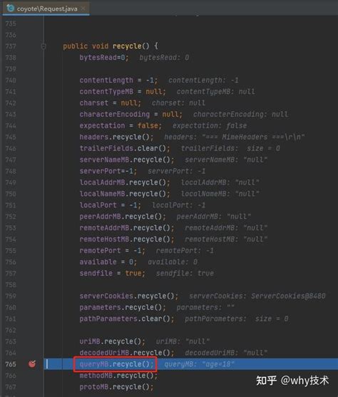 ProcessRequest Vector 的图像结果