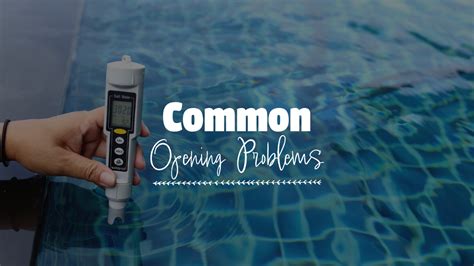 Image result for How to Open My Pool in Spring