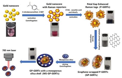 Highly Stable, Graphene-Wrapped, Petal-like, Gap-Enhanced Raman Tags