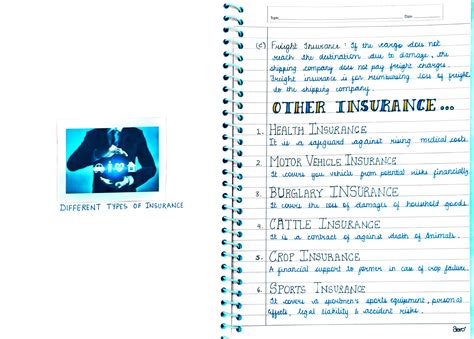 Image result for Project On Insurance Class 11