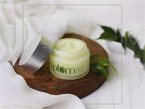 Buy Plum Green Tea Renewed Clarity Night Gel For Balanced Hydration ...