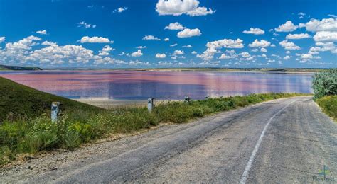 Соленые озера Крыма