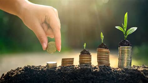 Latest FD rates: Top 5 small finance banks of India offer up to 8.10% ...