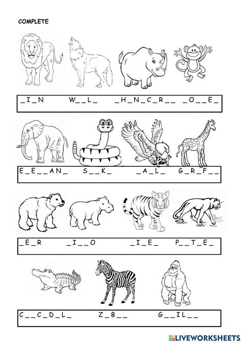 Animal Sports Worksheet 的图像结果