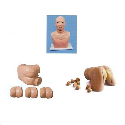 First Aid Skills Training Models 62 Manufacturer, Exporter, First Aid ...