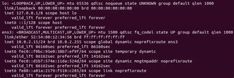 Image result for Linux How to Check IP Address