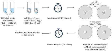 An Application of Imipenem Discs or P. aeruginosa ATCC 27853 Reference ...