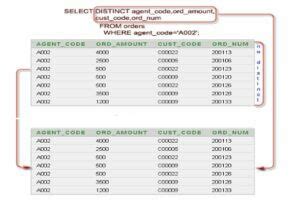 How to Apply Distinct Sum On Multiple Columns in SQL 的图像结果
