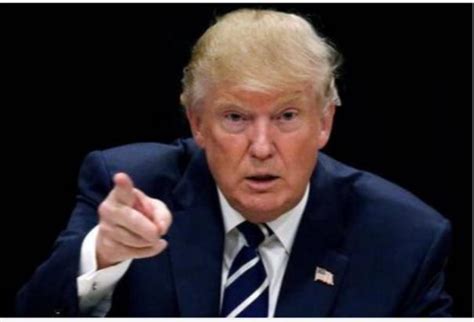 வேற்றுகிரக வாசிகள் அமெரிக்காவுடன் தொடர்பில் உள்ளனர்; ட்ரம்ப்புக்குத் ...