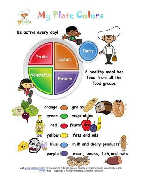 Image result for Colour Food Guide Plate