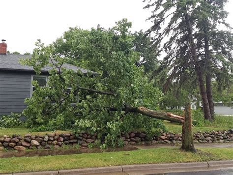 Sunday morning storms leave thousands without power; downed trees and ...