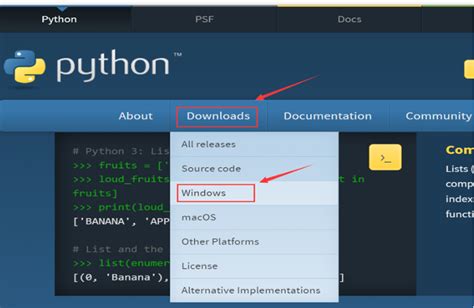 Python Coder Download 的图像结果