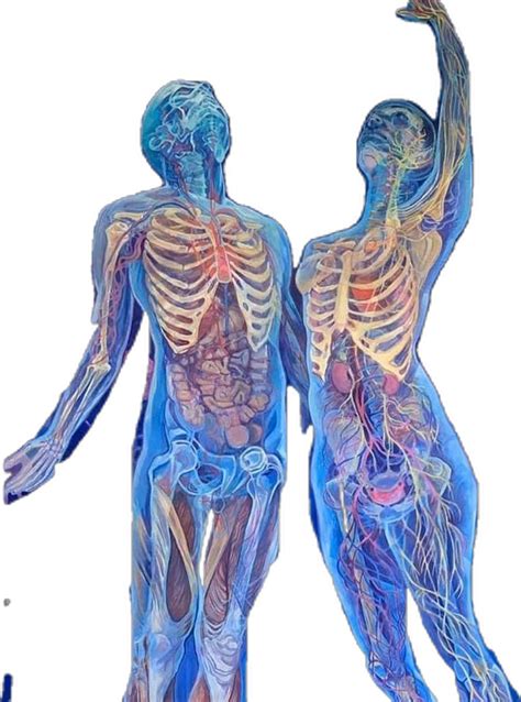 Biological System.Drawing 的图像结果