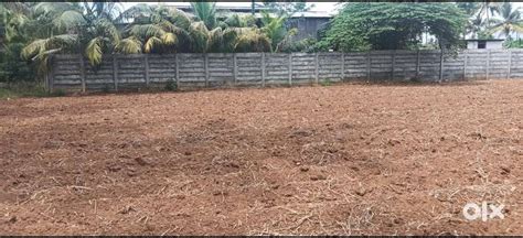 Agri land for sale in coimbatore - Lands & Plots - 1816331411