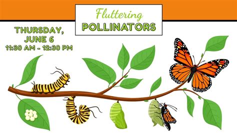 Fluttering Pollinators (Childrens Program), Midlothian Public Library ...