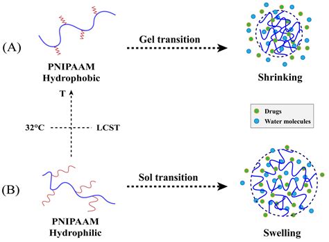 Advances in Nanogels for Topical Drug Delivery in Ocular Diseases