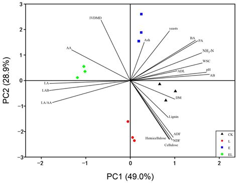 Synergistic Effects of Exogenous Lactobacillus plantarum and Fibrolytic ...