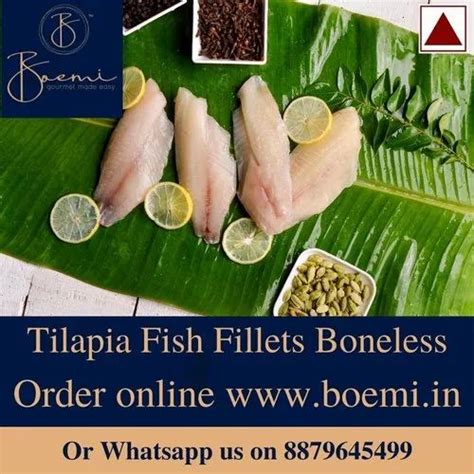 Fish Fillet - Frozen Tilapia Boneless Fish Fillet Trader - Wholesaler ...