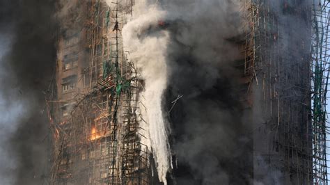 Le bambou, symbole ancestral, a-t-il alimenté l'incendie dévastateur de ...