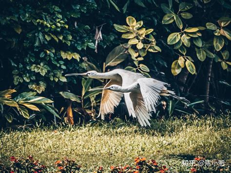 Omac 750s 的图像结果