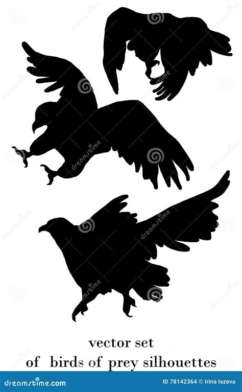 Birds Of Prey Silhouettes Vector Illustration | CartoonDealer.com #78142364