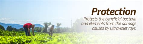 Raj AGRITECH Gro Fast 100% Water Soluble Complex Fertilizer (12:61:00 ...