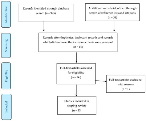 Teacher Educator Wellbeing, Stress and Burnout: A Scoping Review