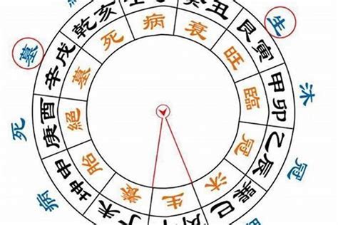 八字大运十二长生怎么排？大运是看十二长生还是看十神?_八字_若朴堂文化