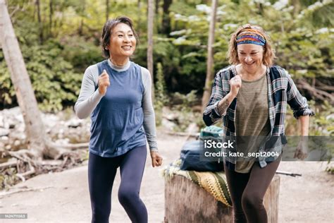 Image result for Over 60s Exercise Routine