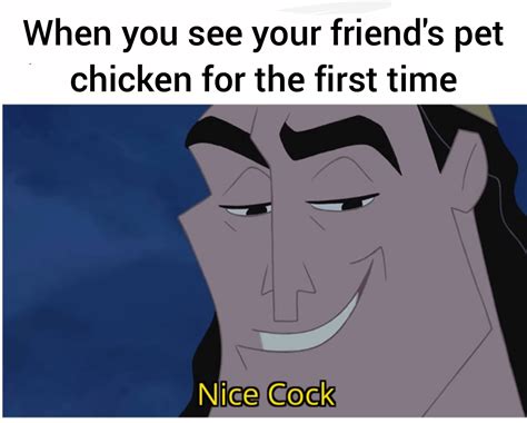 I saw all the nice cock memes and I knew I had to post this : r ...