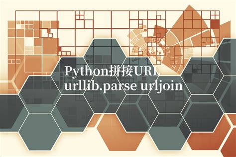 Python Send Request to URL 的图像结果