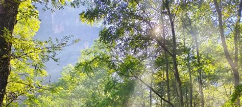 3-Day Tour of Zhangjiajie, Hunan (Four-Diamond Hotel + Zhangjiajie ...