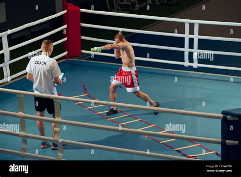 Boxing Trainer 的图像结果