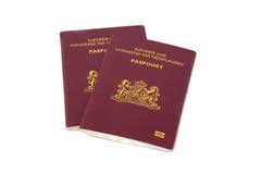 荷兰语欧元护照 库存照片. 图片 包括有 - 18296484