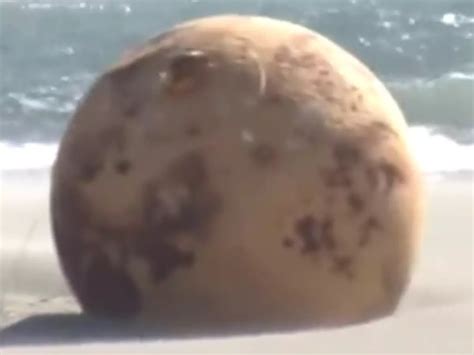 Japan: Authorities Reveal Truth Behind Enshuhama Beach Metal Sphere