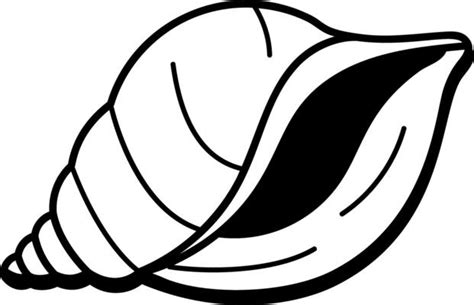 Image result for Shell Shape Outline