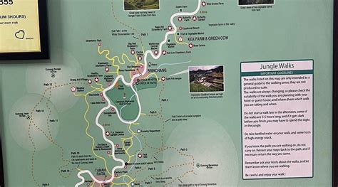BRICKS BACKPACKERS HOSTEL (Cameron Highlands/Tanah Rata) - Hostel ...