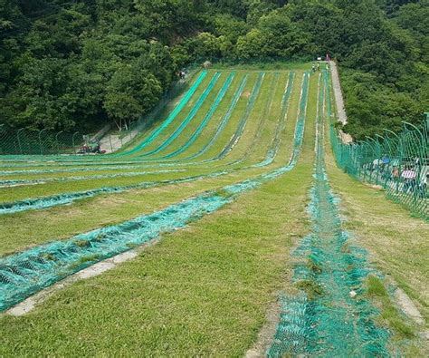 THE 30 BEST Places to Visit in Wuhan (2026) - Must-See Attractions