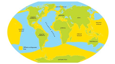 Image result for Blue-Ringed Octopus Map