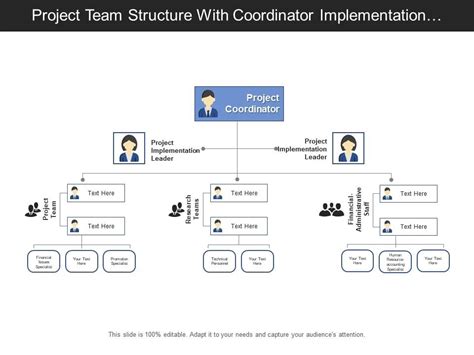 Image result for Implementation Team Structure