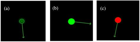 Attention Detection by Heartbeat and Respiratory Features from Radio ...
