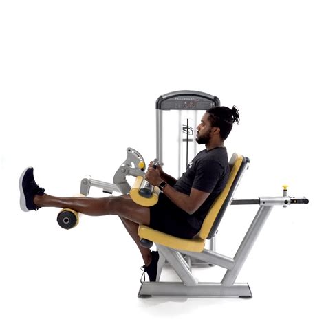 Exercises - Trainwell