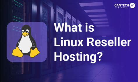 What is Linux Reseller Hosting? Best plans, Where to buy