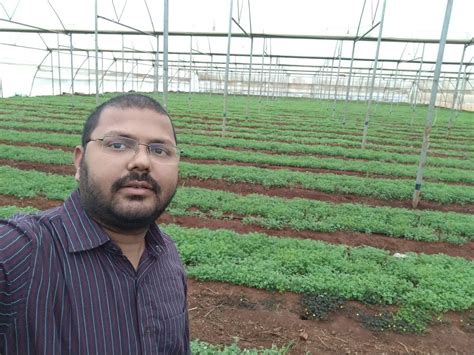 Mycorrhiza Bio Fertilizer Manufacturer, Exporter & Supplier India